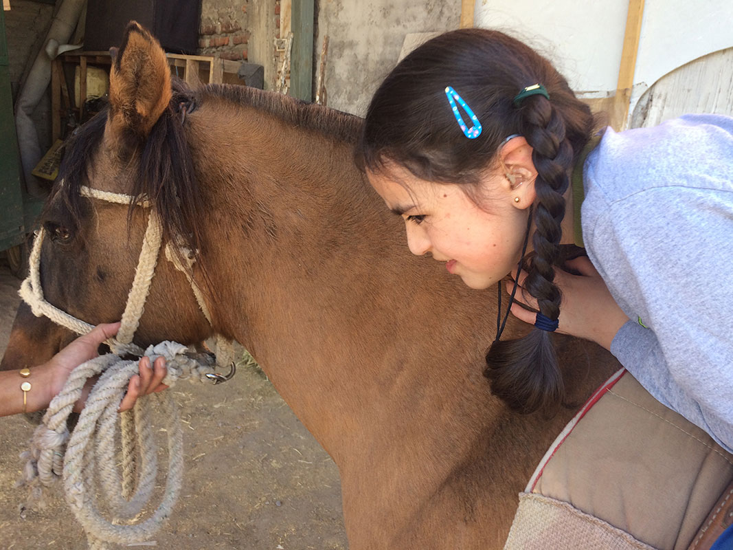 Niña en actividad terapéutica con caballo
