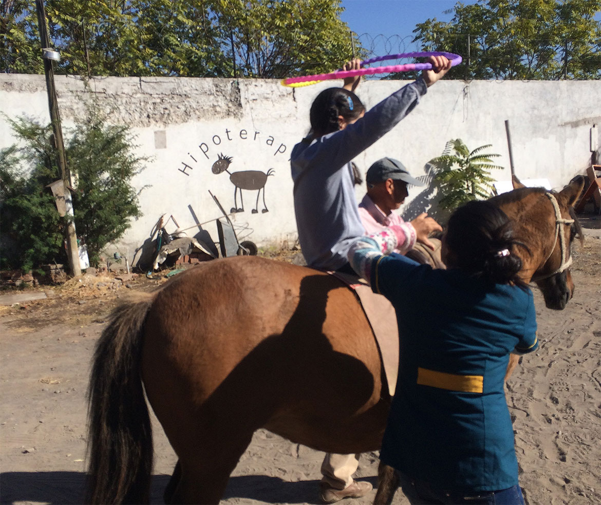 Sesión de hipoterapia al aire libre
