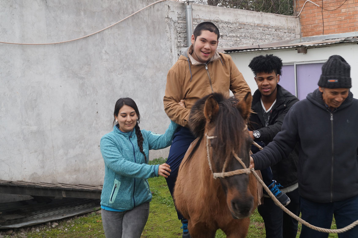 Actividad pedagógica con caballo y equipo educativo