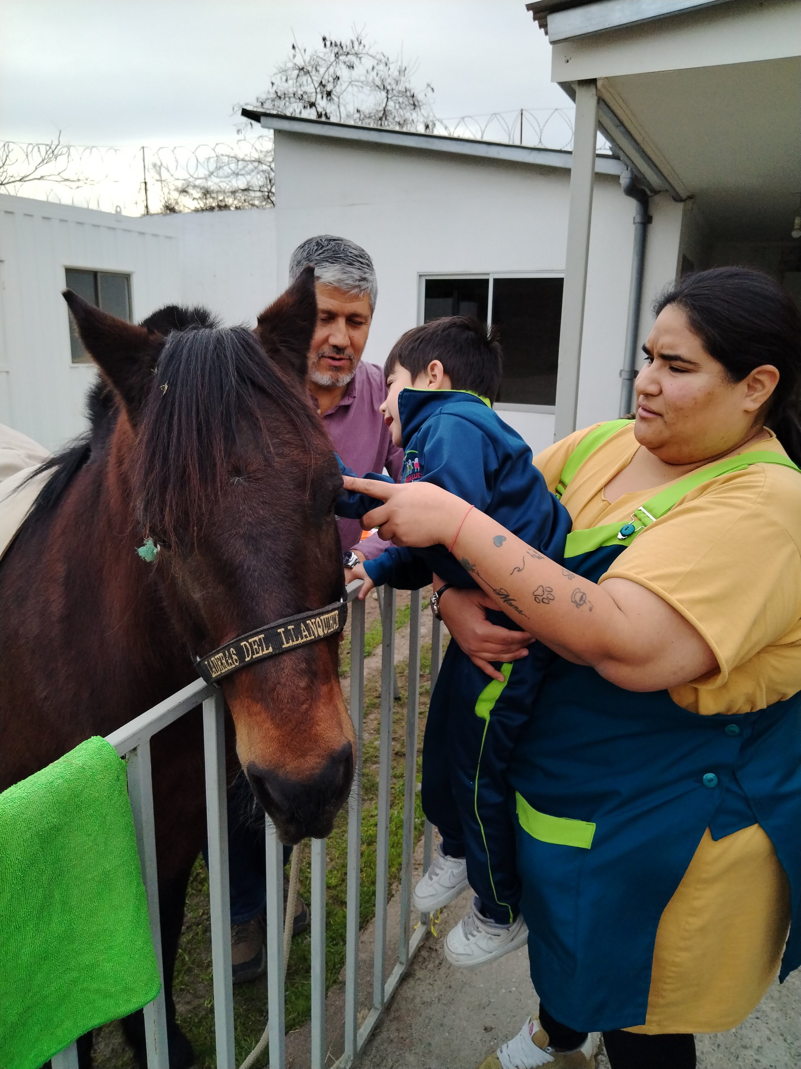 Trabajo de hipoterapia con guía y apoyo cercano al caballo